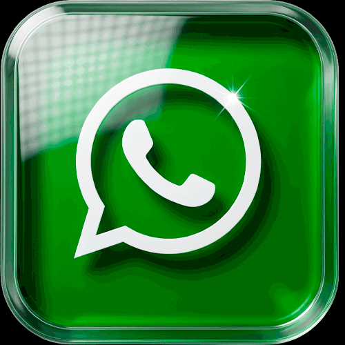 Conversar pelo WhatsApp